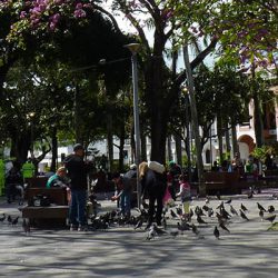 Última escala boliviana en Santa Cruz