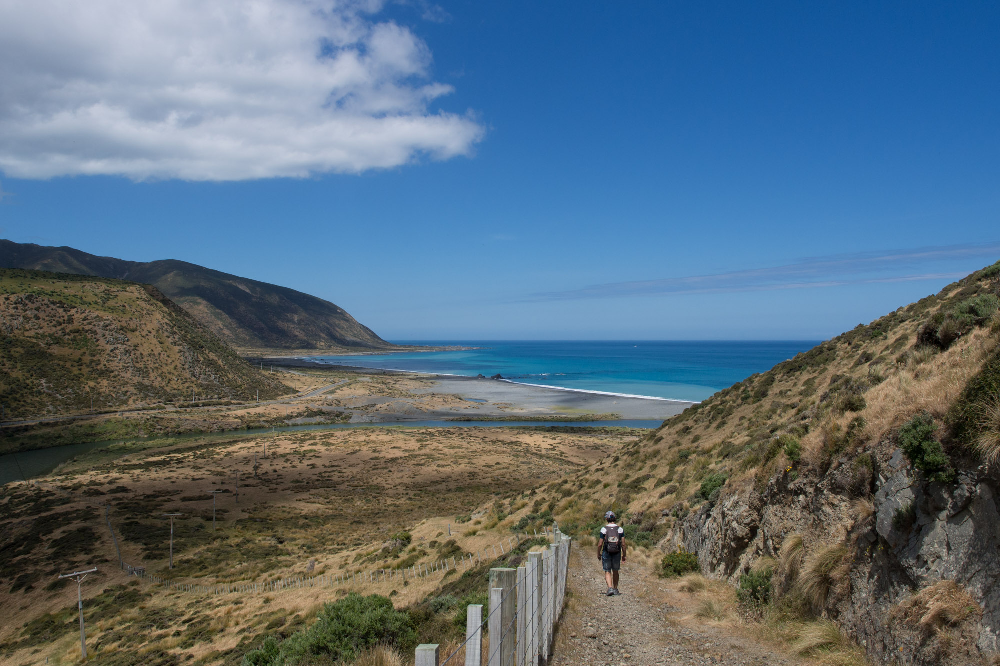Matiu/Somes Island & Baring Head, deux belles excursions depuis Wellington