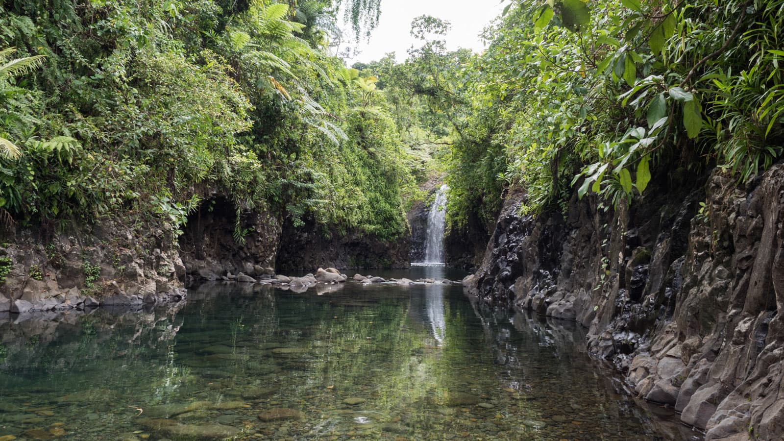 Taveuni, la belle île-jardin des Fidji